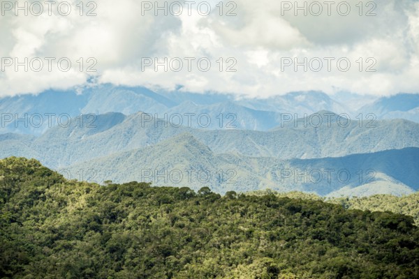 Lush green canopy foregrounds the majestic, blue-hued Andean mountains stretching under a cloudy