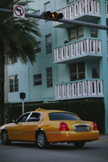 A bright yellow taxi cab parked on a palm-lined street in Miami with a multi-story turquoise