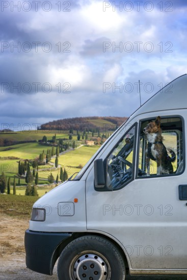 A camper van with a dog peering out the window, parked in the rolling hills of Tuscany, Italy. The