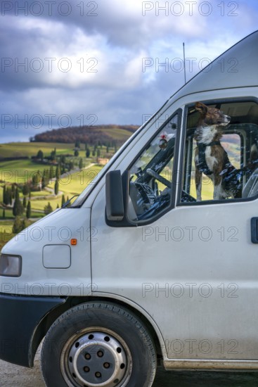 A dog looking out of a camper van window, parked amidst Tuscany's rolling hills. The landscape
