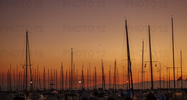 Serene sunset view over Lake Leman featuring multiple sailboat masts silhouetted against a vivid