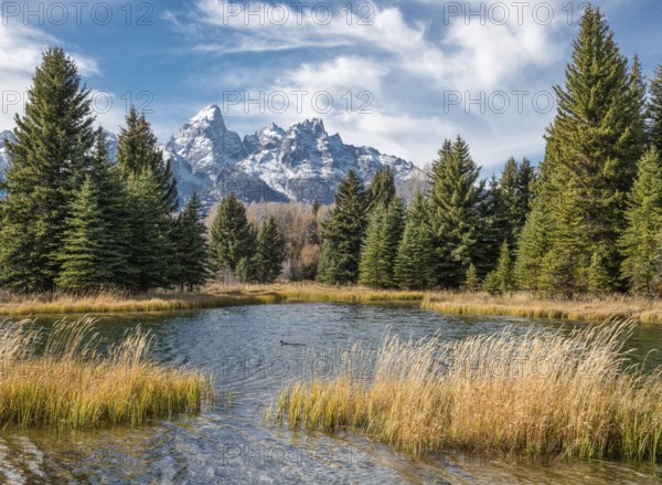 The stunning peaks of Grand Teton National Park tower over a tranquil pond surrounded by dense
