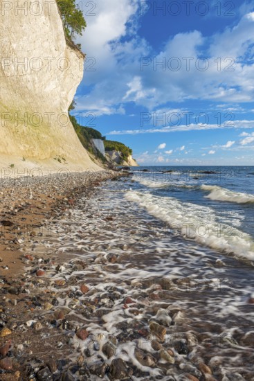 Chalk cliffs and rocky beach with boulders and tree trunks on the Baltic Sea under blue sky with
