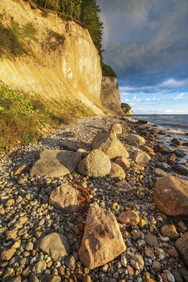 Chalk cliffs and rocky beach with boulders on the Baltic Sea in morning light under a blue sky with