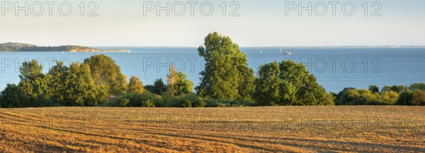 View of a ploughed field with a view of the Baltic Sea, Rügen Island, Mecklenburg-Western