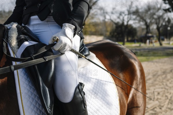 Cropped unrecognizable person engaged in classical dressage training, focusing on technique and