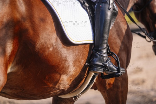 Close-up of a cropped unrecognizable teenager's leather-clad leg in stirrup while practicing