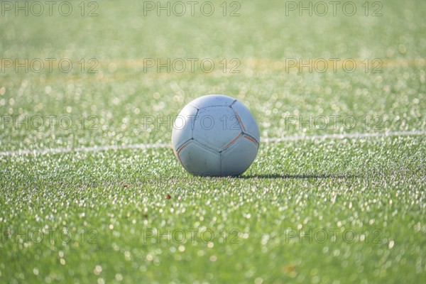 A soccer ball rests on a lush green soccer field, glistening under bright sunlight. The scene