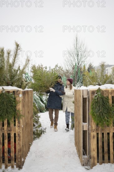 A couple strolls through a snowy Christmas fir farm, happily selecting their perfect tree