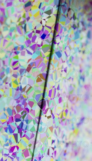 This image features a visually striking 3D rendered illustration of colorful, multifaceted