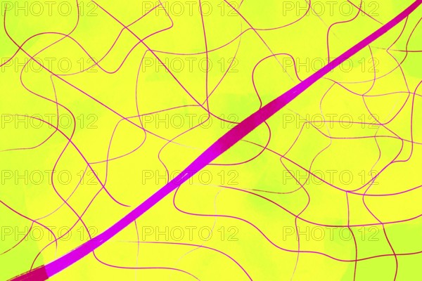 This abstract illustration features vibrant yellow and pink hues with dynamic, intersecting lines