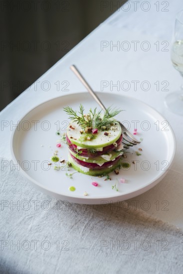 Top view of a colorful gourmet salad stacked with alternating slices of radish and cucumber,