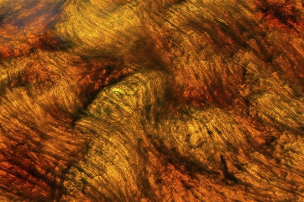 Vibrant abstract patterns created by mineral-rich waters of the Riotinto River in Huelva, Spain The