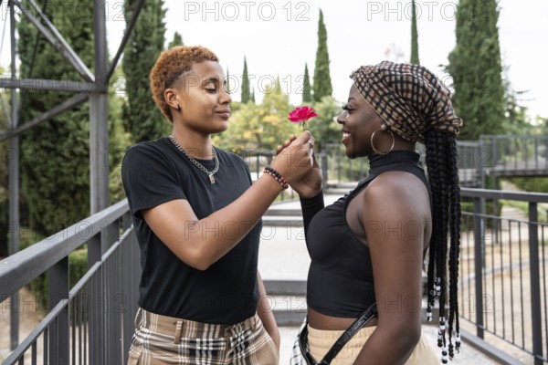 An LGBT multiethnic couple shares a tender moment in a serene park setting, exchanging a flower and