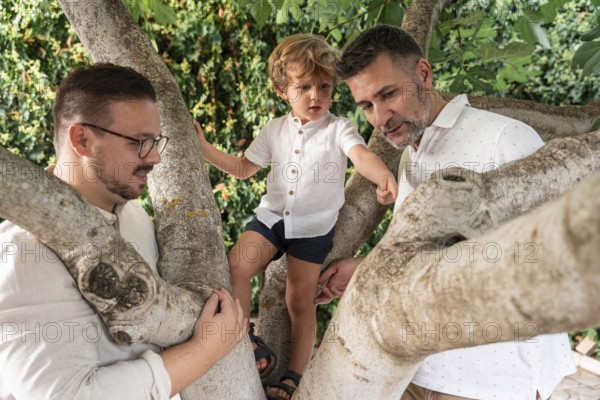 A gay couple enjoys a sunny day with their young son in a tree, exploring outdoors and cherishing