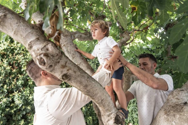 A heartwarming image of a gay couple assisting their young son as he climbs a tree in a lush