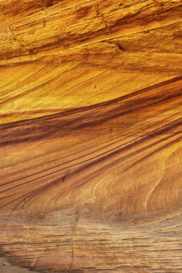 Intricate beauty of golden desert sandstone, showcasing its rich, wavy striped patterns, and