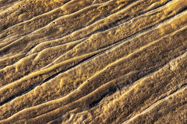Intricate patterns and grooves in golden desert sandstone. The details reveal the natural beauty