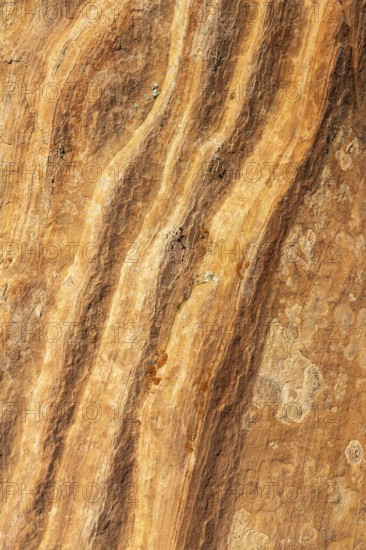 Intricate patterns and vibrant colors of golden desert sandstone, highlighting the natural beauty