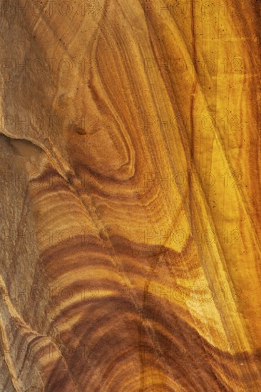 Close-up of golden desert sandstone displaying intricate swirling patterns, rich textures, and warm
