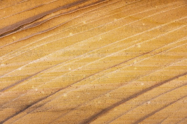 Close-up image showcasing the intricate patterns and warm golden hues of desert sandstone,