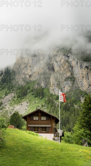 A cozy wooden chalet stands amidst lush greenery, with misty cliffs in the background at Lac de