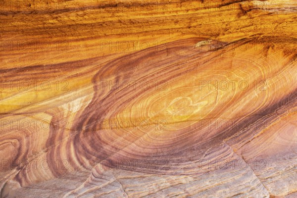 Vibrant and detailed close-up of golden desert sandstone, showcasing natural swirling patterns and