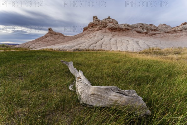 Scenic view of Coyote Buttes at Paria Canyon-Vermilion Cliffs Wilderness, Arizona, featuring a