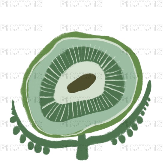 This illustration features a vibrant green flower, showcasing intricate organic patterns and