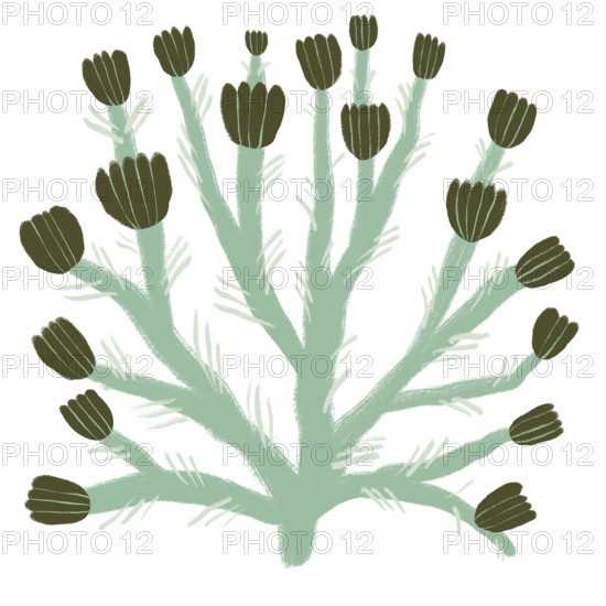 Illustration showcases a stylized depiction of green flowers in an abstract pattern The design