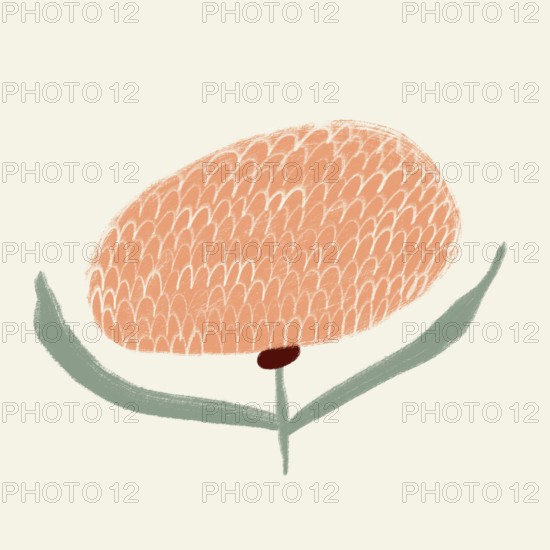 A minimalist, abstract illustration of a spring flower with a plush orange blossom and gentle green