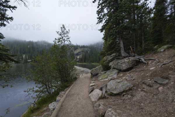 A serene path winds along the edge of a tranquil lake enveloped in mist, with dense forests and
