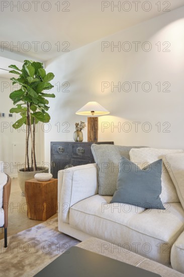 This cozy living room features a stylish beige sofa, a robust green fiddle leaf fig plant, and a