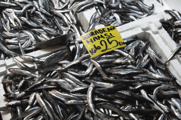 Istanbul, Turkey. November 28th 2020 Black Sea Hamsi fish for sale in the Karakoy Fish Market,