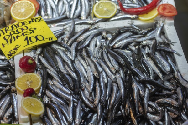 Istanbul, Turkey. November 15th 2023 Fresh Turkish Black Sea Hamsi for sale, a type of anchovy fish