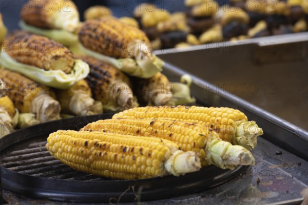Tasty grilled sweet corn on the cob, a popular Turkish street food grilled and sold from street
