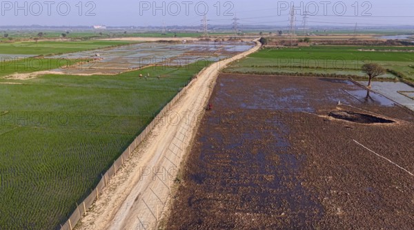 In an aerial view, people walk on a road cutting through rice paddy fields on February 16, 2026 in