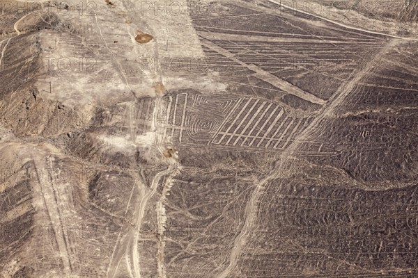 Impressive geoglyphs and line patterns in the dry Nazca Desert, The geoglyphs and drawings in the