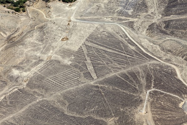 Large geoglyphs in the Nazca Desert visible from a bird's eye view, The geoglyphs and images in the