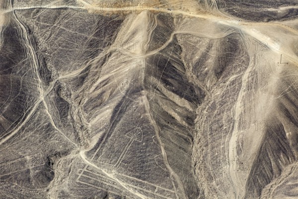 Geoglyphs in the hills of the Nazca Desert with recognizable line structures, The geoglyphs and