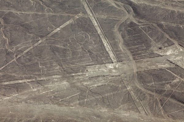 Aerial view of geoglyphs and lines that criss-cross the desert, the geoglyphs and images in the
