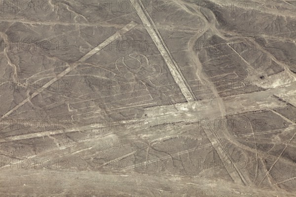 Complex geoglyphs and lines in a sandy desert, The geoglyphs and images in the desert near Nasca