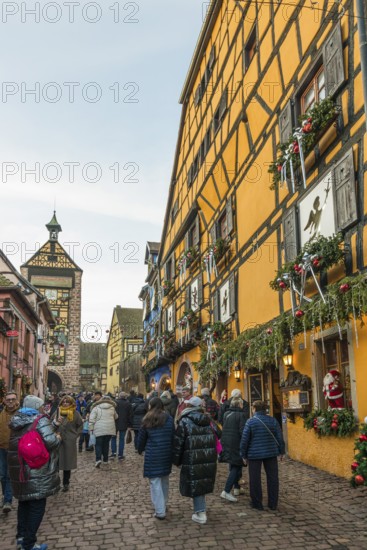 Christmassy decorated half-timbered houses, Christmas market, Riquewihr, Grand Est, Haut-Rhin,