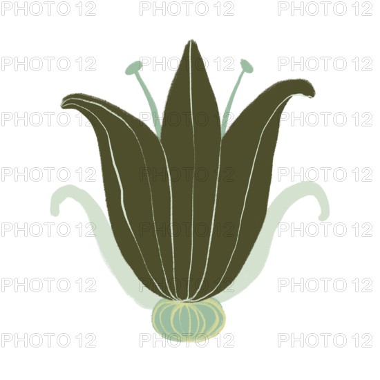A digital illustration of a green flower with stylized organic shapes and intricate details This