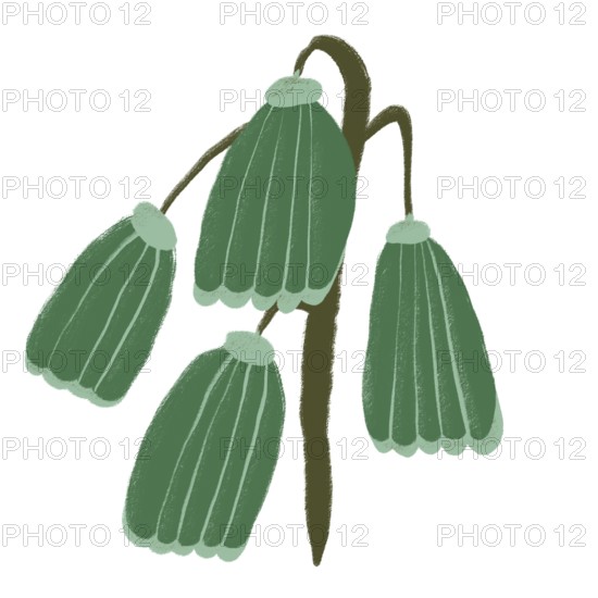 A vibrant green flower illustration depicting abstract, stylized blooms with flowing contours The