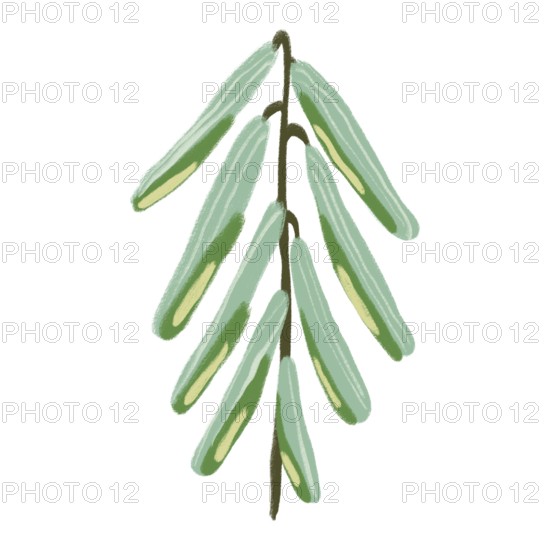 A captivating illustration showcasing delicate green flowers in a minimalist design This artwork