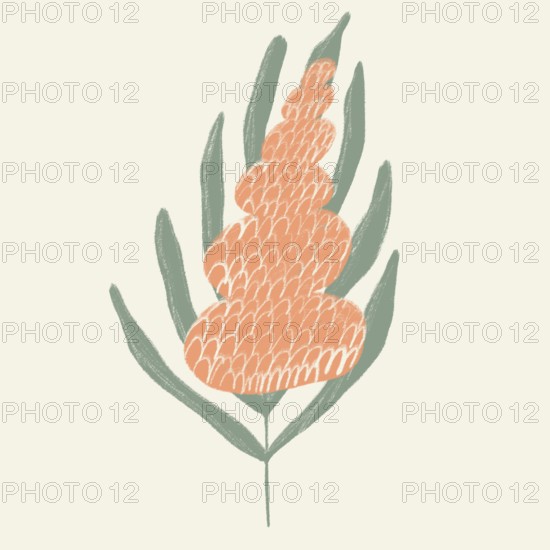 A minimalist, hand-drawn illustration featuring abstract spring flowers with soft orange petals and