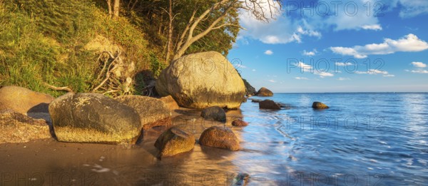 Coastal landscape with large boulders on the Baltic Sea beach in the evening light, Mönchgut Nature