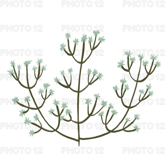 This illustration features a delicate floral theme with abstract green flowers branching out