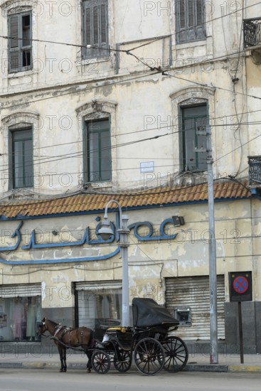 Alexandria, Egypt. December 2nd 2022 Traditional horse and carriage outside an old sea front